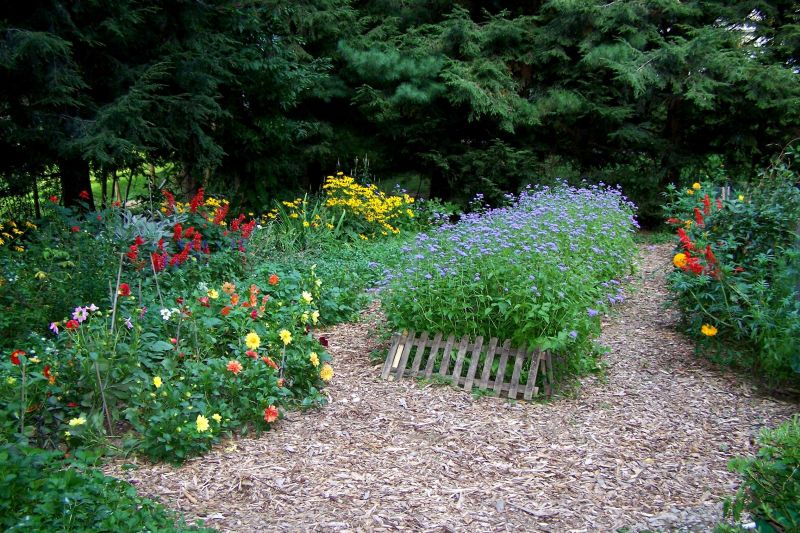 Yard Landscaping Pictures & Ideas: Through the Seasons